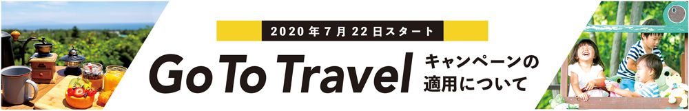 go to travel の適用について